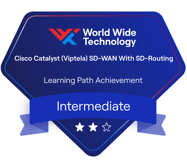 Cisco Catalyst (Viptela) SD-WAN With SD-Routing Learning Path