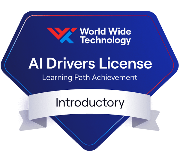 AI Drivers License Learning Path