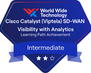 Cisco Catalyst (Viptela) SD-WAN Visibility with Analytics Learning Path